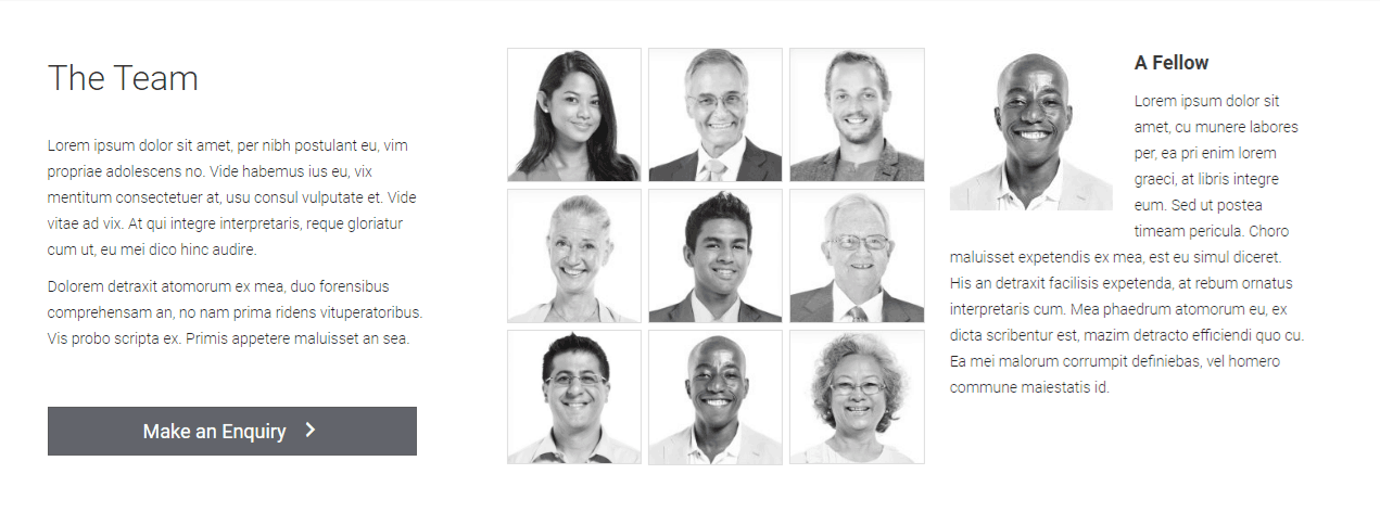 Beaver Builder Team Gallery